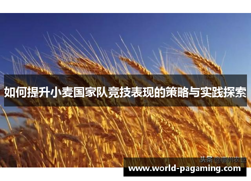 如何提升小麦国家队竞技表现的策略与实践探索 如何提升小麦国家队竞技表现的策略与实践探索