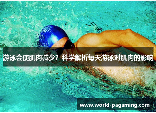 游泳会使肌肉减少?科学解析每天游泳对肌肉的影响 游泳会使肌肉减少?科学解析每天游泳对肌肉的影响