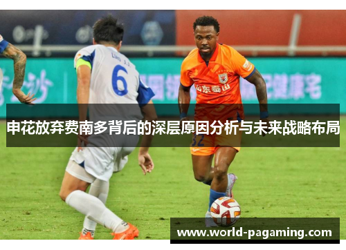 申花放弃费南多背后的深层原因分析与未来战略布局
