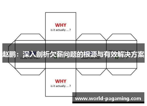 赵鹏:深入剖析欠薪问题的根源与有效解决方案 赵鹏:深入剖析欠薪问题的根源与有效解决方案
