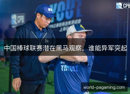 中国棒球联赛潜在黑马观察,谁能异军突起 中国棒球联赛潜在黑马观察,谁能异军突起